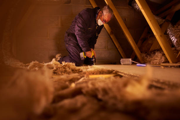 Best Insulation Installation Services in Sunman, IN